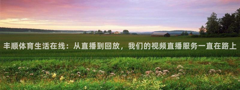 丰顺体育生活在线：从直播到回放，我们的视频直播服务一直在路上