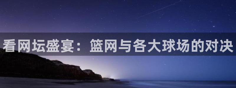 看网坛盛宴：篮网与各大球场的对决