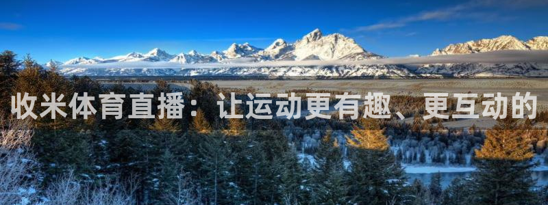 收米体育直播：让运动更有趣、更互动的