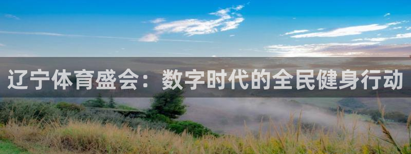 辽宁体育盛会：数字时代的全民健身行动