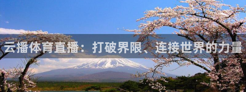 云播体育直播：打破界限、连接世界的力量