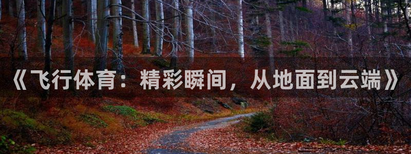 《飞行体育：精彩瞬间，从地面到云端》