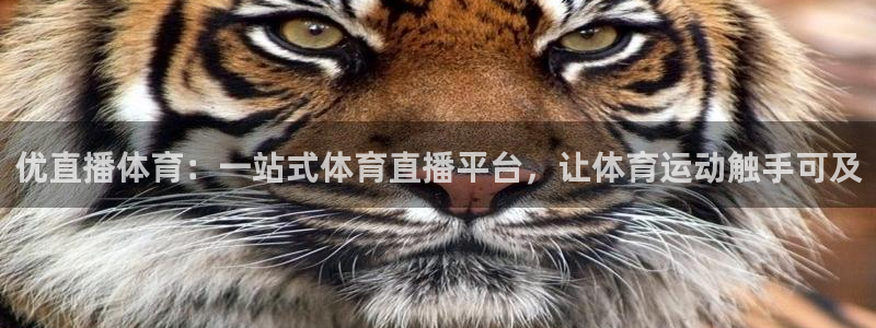 优直播体育：一站式体育直播平台，让体育运动触手可及