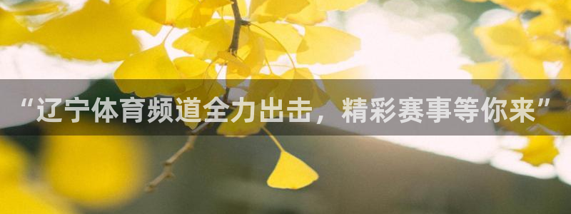 “辽宁体育频道全力出击，精彩赛事等你来”