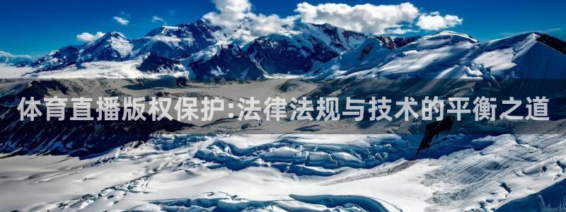 体育直播版权保护:法律法规与技术的平衡之道