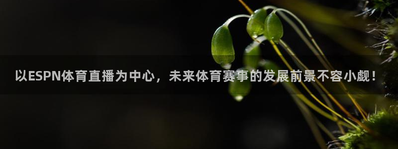 以ESPN体育直播为中心，未来体育赛事的发展前景不容小觑！