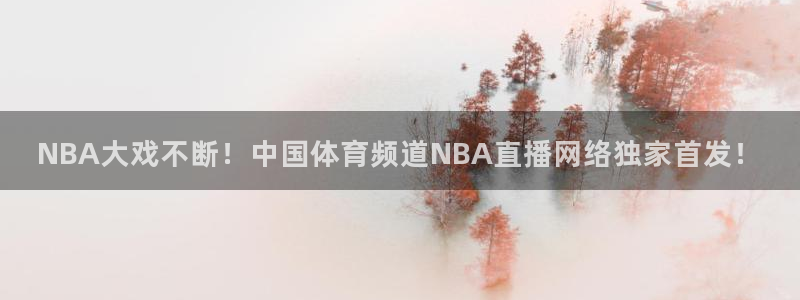 NBA大戏不断！中国体育频道NBA直播网络独家首发！