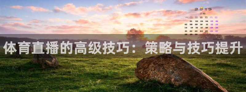 体育直播的高级技巧：策略与技巧提升
