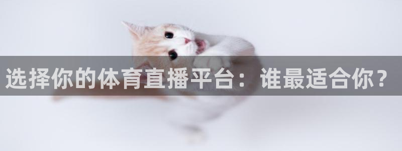 选择你的体育直播平台：谁最适合你？