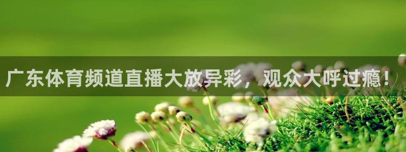 广东体育频道直播大放异彩，观众大呼过瘾！