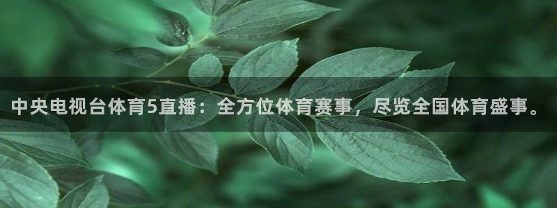 中央电视台体育5直播：全方位体育赛事，尽览全国体育盛事。