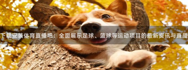 下载安装体育直播吧：全面展示足球、篮球等运动项目的最新资讯与直播