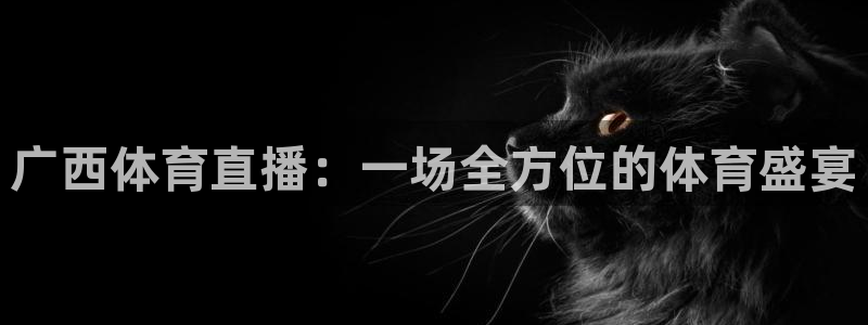 广西体育直播：一场全方位的体育盛宴