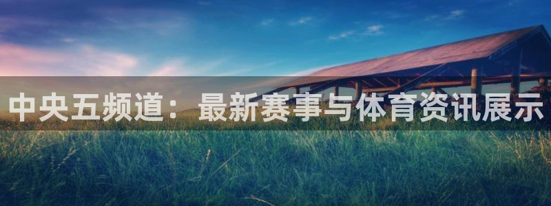 中央五频道：最新赛事与体育资讯展示