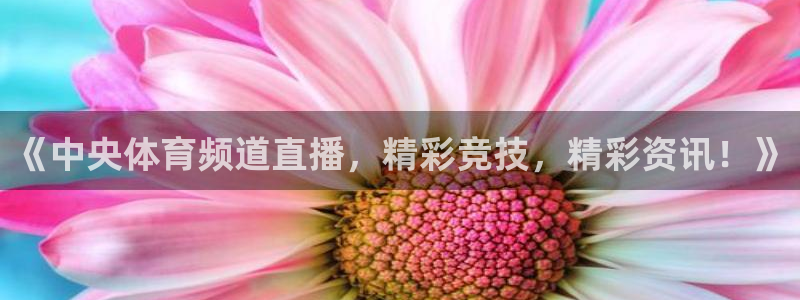 《中央体育频道直播，精彩竞技，精彩资讯！》
