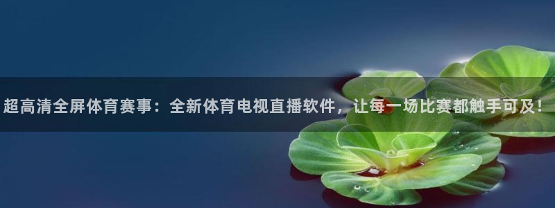 超高清全屏体育赛事：全新体育电视直播软件，让每一场比赛都触手可及！