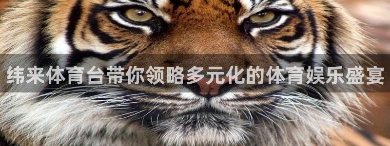 纬来体育台带你领略多元化的体育娱乐盛宴