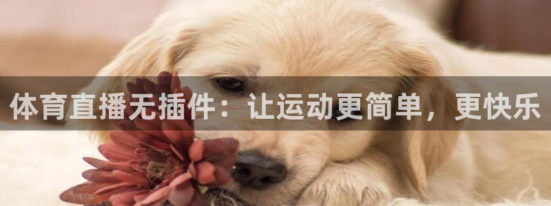 体育直播无插件：让运动更简单，更快乐