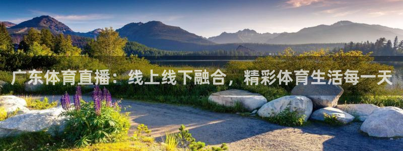 广东体育直播：线上线下融合，精彩体育生活每一天