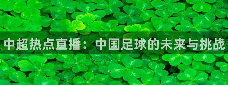 中超热点直播：中国足球的未来与挑战