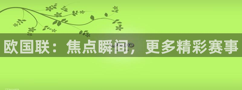 欧国联：焦点瞬间，更多精彩赛事
