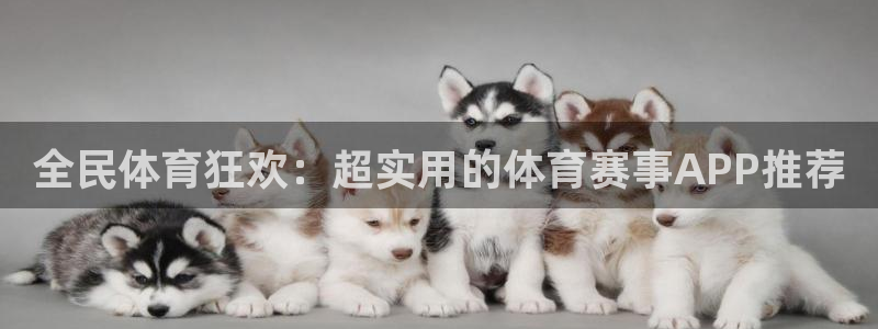 全民体育狂欢：超实用的体育赛事APP推荐