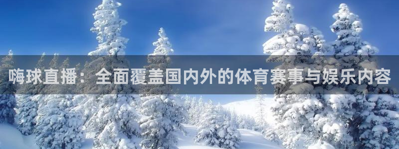 嗨球直播：全面覆盖国内外的体育赛事与娱乐内容