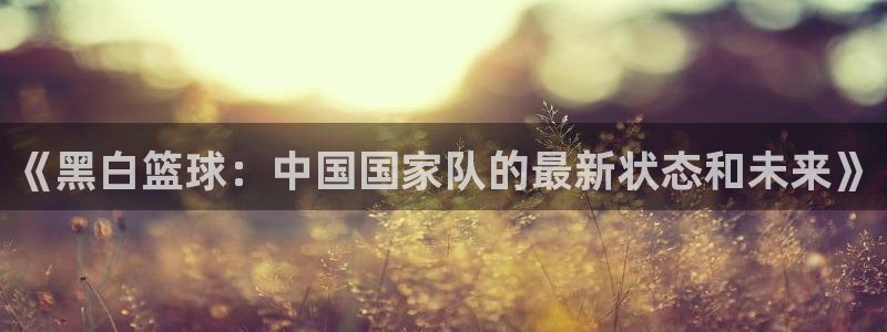 《黑白篮球：中国国家队的最新状态和未来》