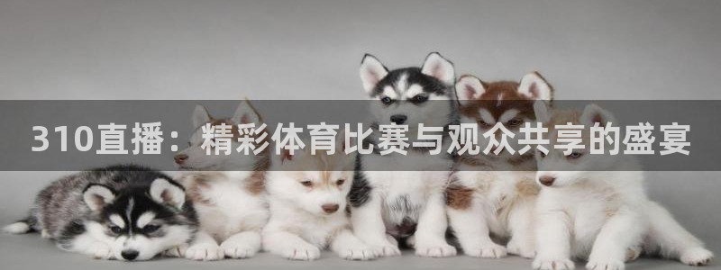 310直播：精彩体育比赛与观众共享的盛宴