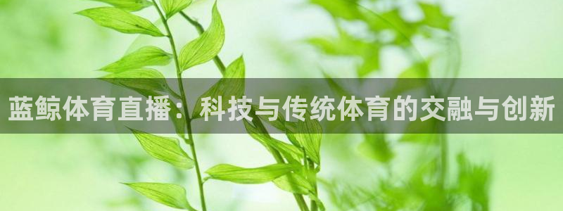 蓝鲸体育直播：科技与传统体育的交融与创新
