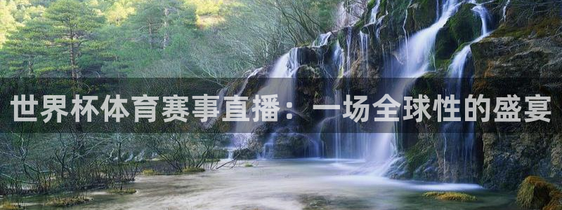 世界杯体育赛事直播：一场全球性的盛宴