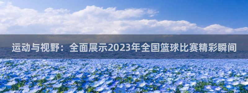 运动与视野：全面展示2023年全国篮球比赛精彩瞬间