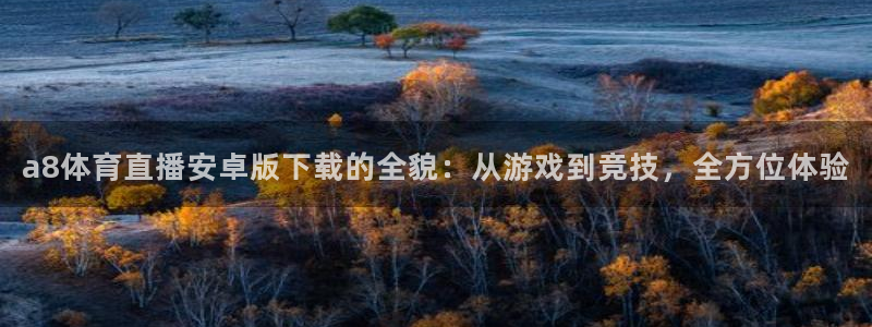 a8体育直播安卓版下载的全貌：从游戏到竞技，全方位体验