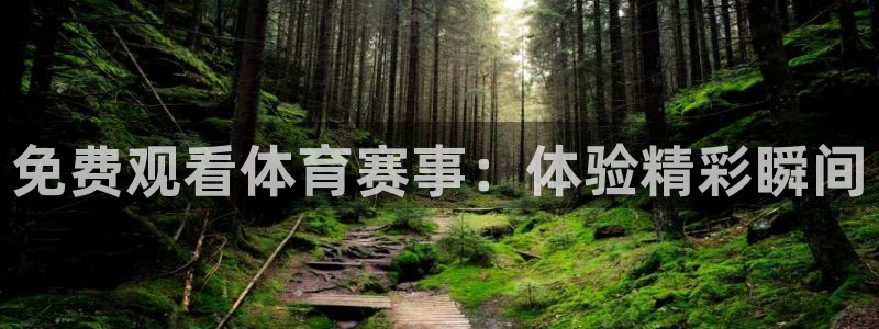 免费观看体育赛事：体验精彩瞬间