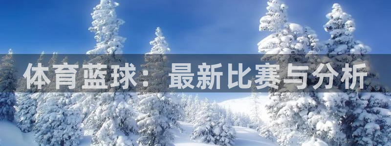 体育蓝球：最新比赛与分析