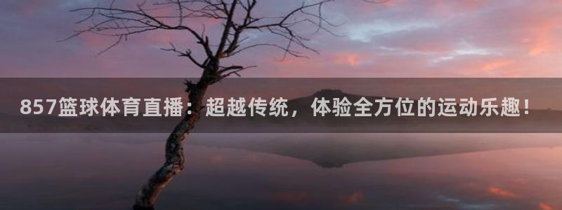 857篮球体育直播：超越传统，体验全方位的运动乐趣！