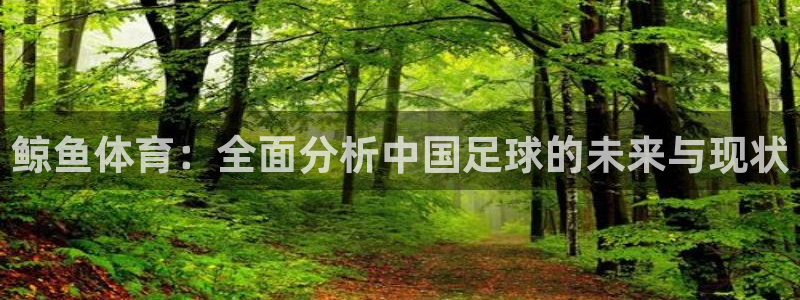 鲸鱼体育：全面分析中国足球的未来与现状