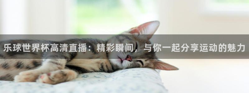 乐球世界杯高清直播：精彩瞬间，与你一起分享运动的魅力