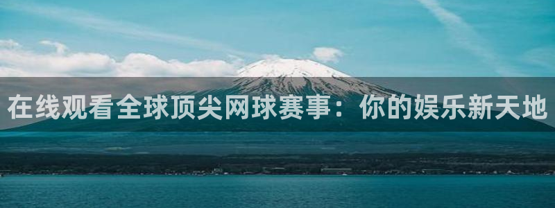 在线观看全球顶尖网球赛事：你的娱乐新天地